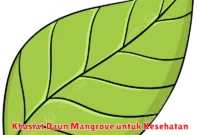 Khasiat Daun Mangrove untuk Kesehatan