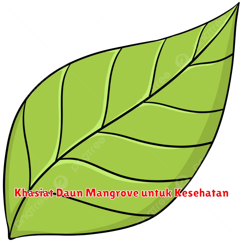 Khasiat Daun Mangrove untuk Kesehatan