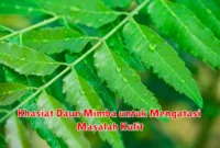 Khasiat Daun Mimba untuk Mengatasi Masalah Kulit