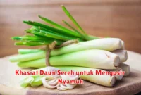 Khasiat Daun Sereh untuk Mengusir Nyamuk