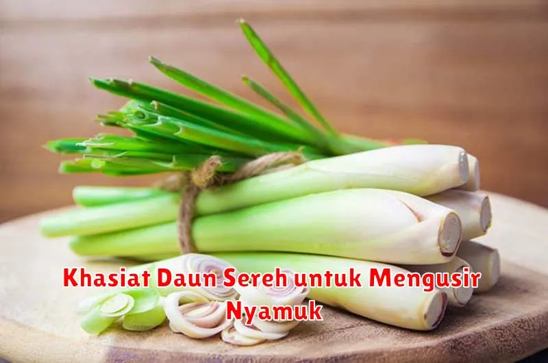 Khasiat Daun Sereh untuk Mengusir Nyamuk