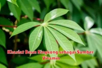 Khasiat Daun Singkong sebagai Sumber Vitamin