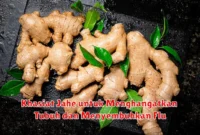 Khasiat Jahe untuk Menghangatkan Tubuh dan Menyembuhkan Flu