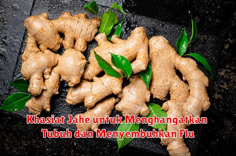 Khasiat Jahe untuk Menghangatkan Tubuh dan Menyembuhkan Flu