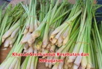 Khasiat Sereh untuk Kesehatan dan Kebugaran