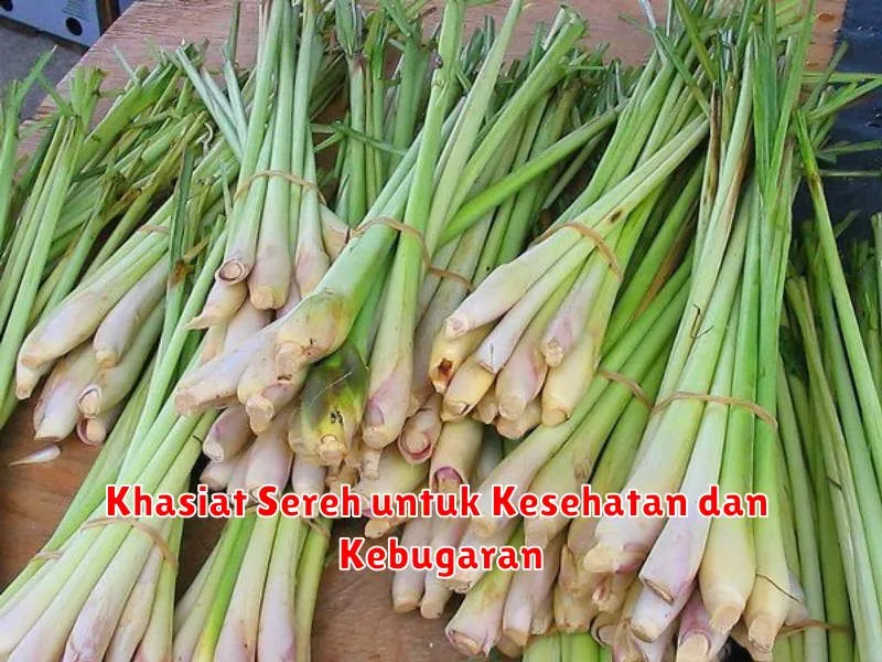 Khasiat Sereh untuk Kesehatan dan Kebugaran