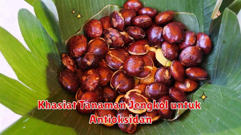 Khasiat Tanaman Jengkol untuk Antioksidan
