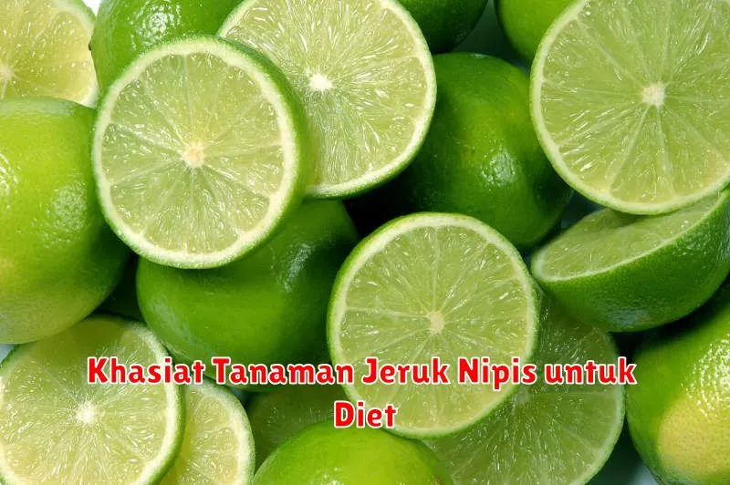 Khasiat Tanaman Jeruk Nipis untuk Diet