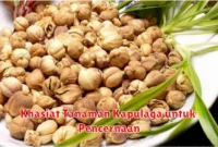 Khasiat Tanaman Kapulaga untuk Pencernaan