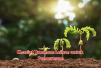 Khasiat Tanaman Leilem untuk Pencernaan