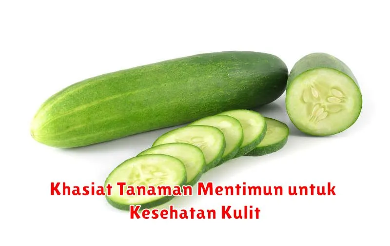 Khasiat Tanaman Mentimun untuk Kesehatan Kulit