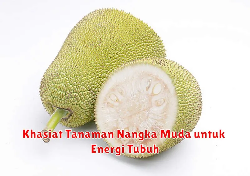 Khasiat Tanaman Nangka Muda untuk Energi Tubuh