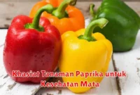 Khasiat Tanaman Paprika untuk Kesehatan Mata