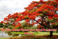 Manfaat Bunga Flamboyan untuk Kesehatan Mental