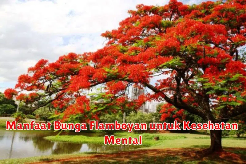 Manfaat Bunga Flamboyan untuk Kesehatan Mental