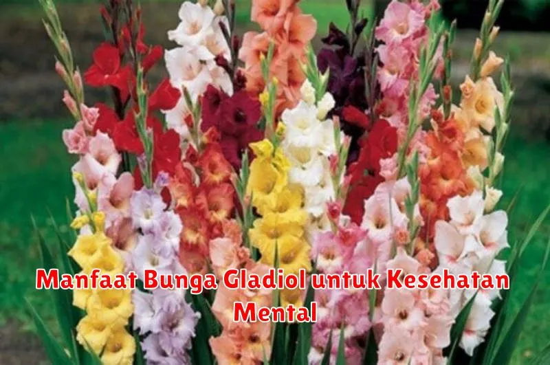 Manfaat Bunga Gladiol untuk Kesehatan Mental