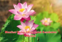 Manfaat Bunga Lotus untuk Kesehatan Mental