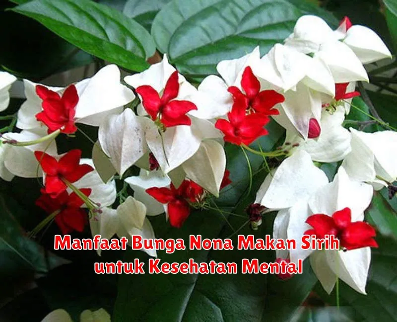Manfaat Bunga Nona Makan Sirih untuk Kesehatan Mental