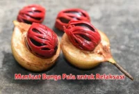 Manfaat Bunga Pala untuk Relaksasi