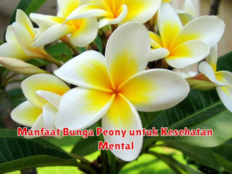 Manfaat Bunga Peony untuk Kesehatan Mental