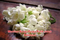 Manfaat Bunga Puspa Putih untuk Relaksasi