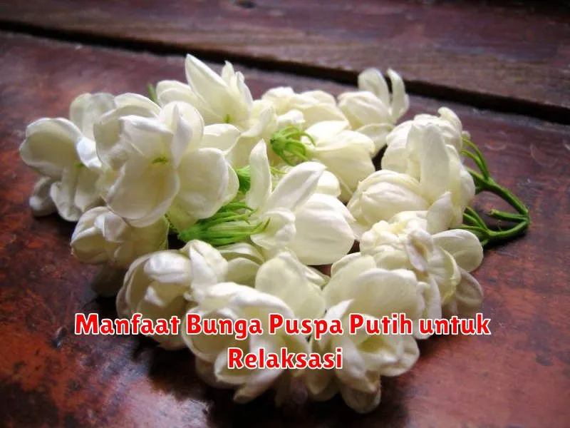 Manfaat Bunga Puspa Putih untuk Relaksasi