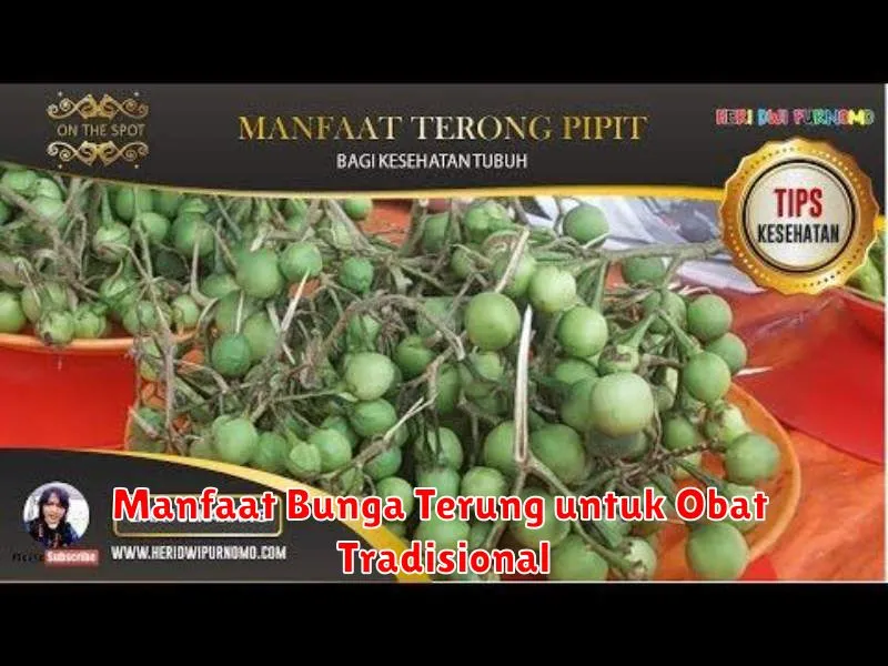 Manfaat Bunga Terung untuk Obat Tradisional