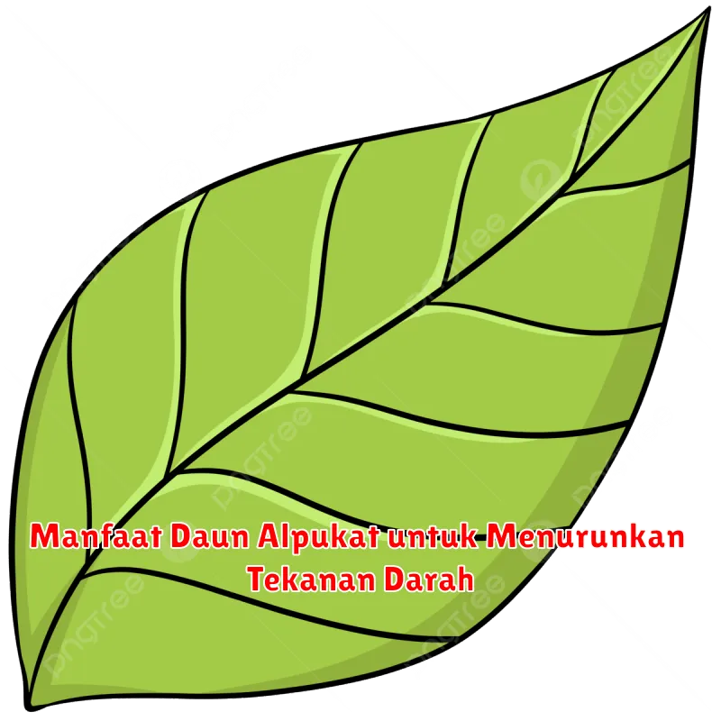 Manfaat Daun Alpukat untuk Menurunkan Tekanan Darah