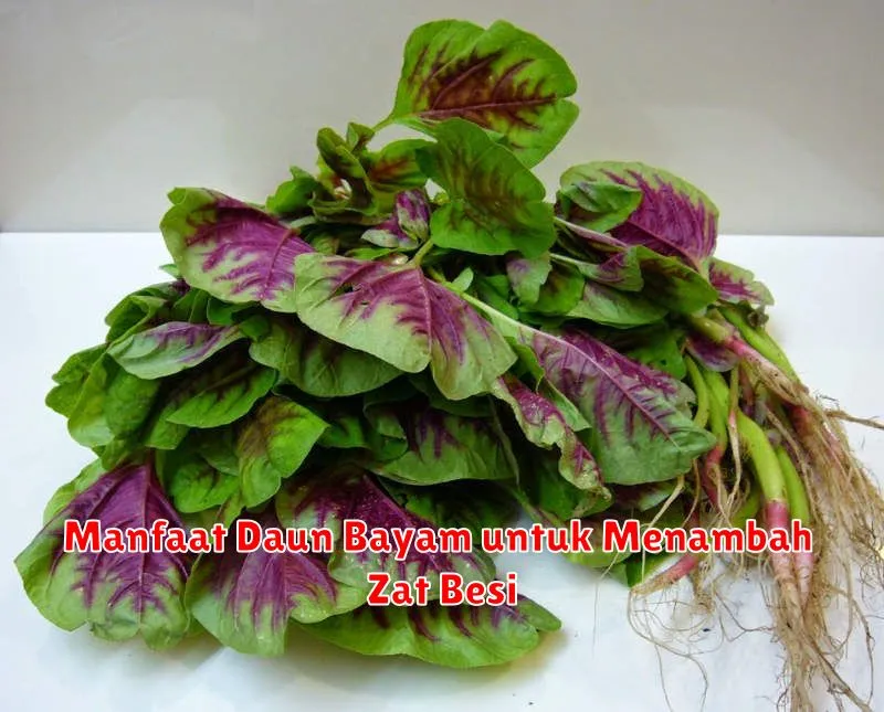 Manfaat Daun Bayam untuk Menambah Zat Besi