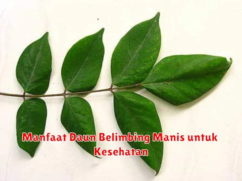 Manfaat Daun Belimbing Manis untuk Kesehatan