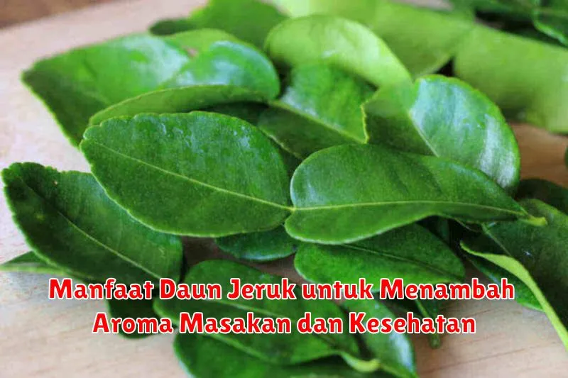 Manfaat Daun Jeruk untuk Menambah Aroma Masakan dan Kesehatan