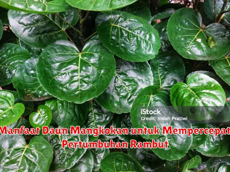 Manfaat Daun Mangkokan untuk Mempercepat Pertumbuhan Rambut