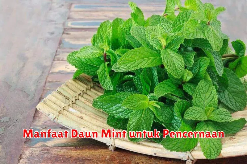 Manfaat Daun Mint untuk Pencernaan