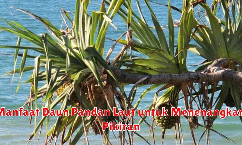 Manfaat Daun Pandan Laut untuk Menenangkan Pikiran