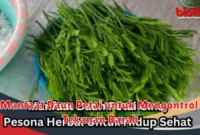 Manfaat Daun Petai untuk Mengontrol Tekanan Darah