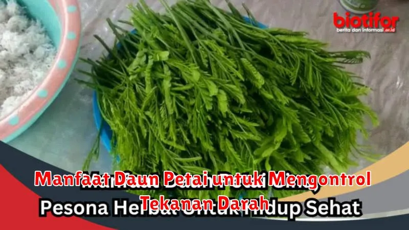 Manfaat Daun Petai untuk Mengontrol Tekanan Darah