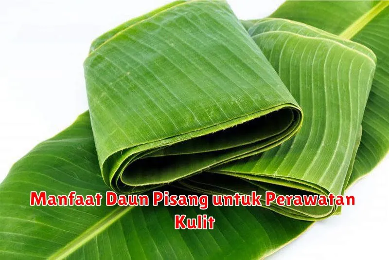 Manfaat Daun Pisang untuk Perawatan Kulit