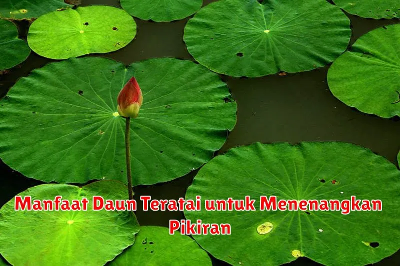 Manfaat Daun Teratai untuk Menenangkan Pikiran