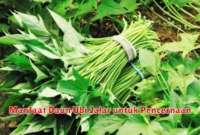 Manfaat Daun Ubi Jalar untuk Pencernaan