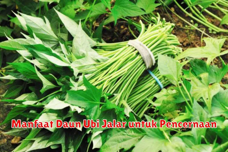 Manfaat Daun Ubi Jalar untuk Pencernaan