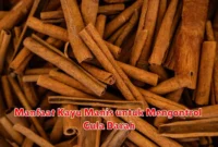 Manfaat Kayu Manis untuk Mengontrol Gula Darah
