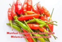 Manfaat Tanaman Cabe Rawit untuk Melancarkan Peredaran Darah