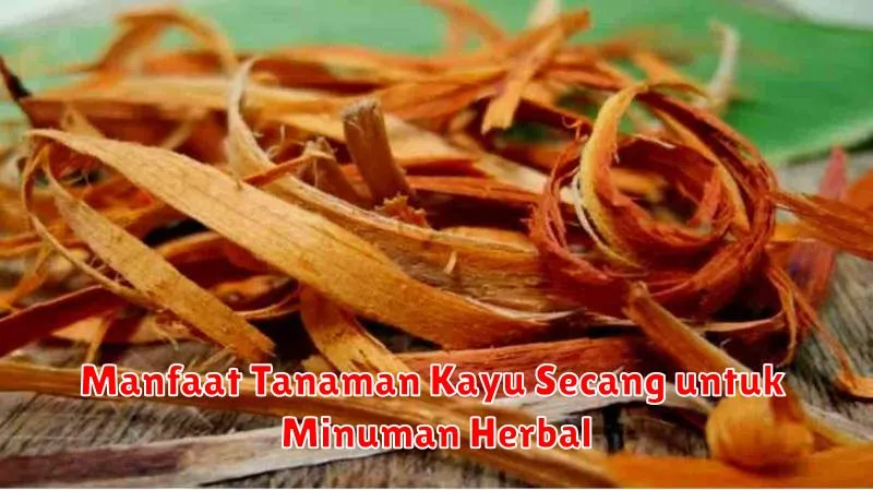 Manfaat Tanaman Kayu Secang untuk Minuman Herbal