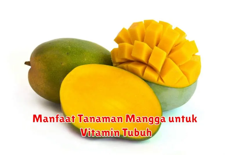 Manfaat Tanaman Mangga untuk Vitamin Tubuh