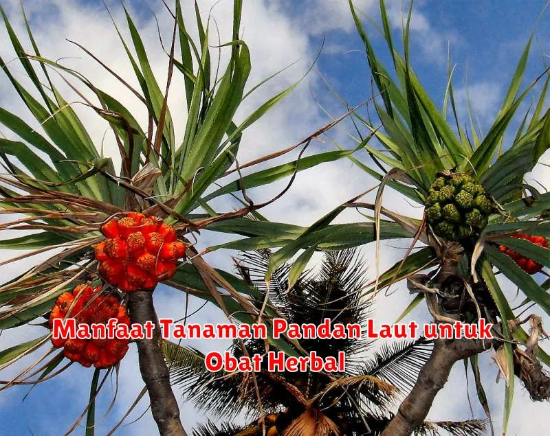 Manfaat Tanaman Pandan Laut untuk Obat Herbal